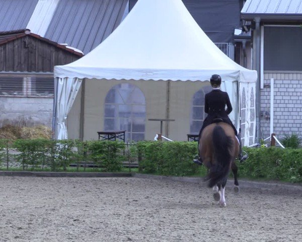 Reitturnier Olfen 2025