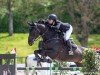 jumper Sweet Dream 30 (Mecklenburg, 2015, from Sandokan 290)