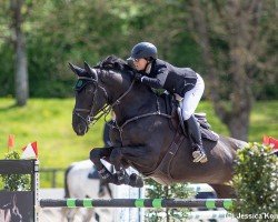 jumper Sweet Dream 30 (Mecklenburg, 2015, from Sandokan 290)