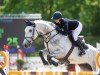 jumper Calderon (Holsteiner, 2017, from Casall Ask)