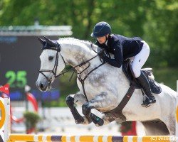 jumper Calderon (Holsteiner, 2017, from Casall Ask)