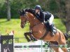 Springpferd Cashmere M (Holsteiner, 2013, von Con Spirito R)