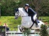 Springpferd Cornet-On SHO (Zangersheide Reitpferd, 2017)