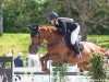 jumper Kyara O'Hesseln (KWPN (Royal Dutch Sporthorse), 2015, from Etoulon VDL)