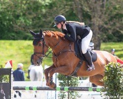 Springpferd Kyara O'Hesseln (KWPN (Niederländisches Warmblut), 2015, von Etoulon VDL)
