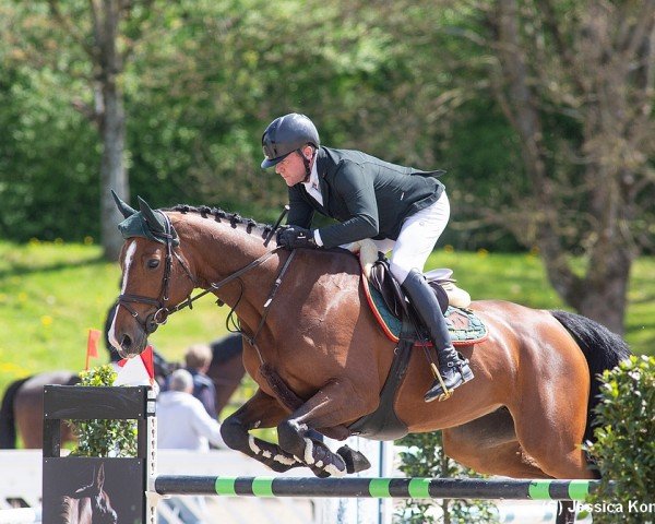 jumper Indian Summer I (Holsteiner, 2016, from Constanzehof's Barcley)