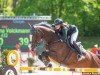 broodmare Evita 433 (KWPN (Royal Dutch Sporthorse), 2009, from Numero Uno)