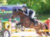 jumper Cambada 3 (German Sport Horse, 2013, from Carenzo)