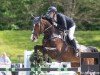 broodmare Camilla CH (Westphalian, 2015, from Cellestial)
