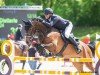jumper Corinna 124 (Hanoverian, 2016, from Capistrano 2)