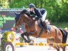 jumper Crapou K (Hanoverian, 2016, from Cansendo)