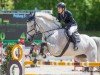 jumper Wicked Echo (Irish Sport Horse, 2011, from Fortunus)
