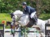 Springpferd Ascona Z (Zangersheide Reitpferd, 2015, von Arezzo VDL)