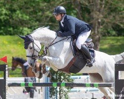 jumper Ascona Z (Zangersheide riding horse, 2015, from Arezzo VDL)