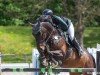 jumper Heps (Oldenburg show jumper, 2010, from Heops)