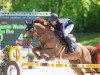 jumper Qualitys Blue (Hanoverian, 2016, from Quality Time)