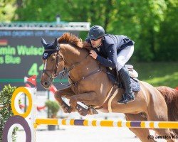 jumper Qualitys Blue (Hanoverian, 2016, from Quality Time)