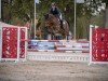 jumper Cascadeur 115 (Westphalian, 2018, from Comme il Faut)