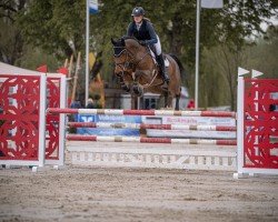 Springpferd Cascadeur 115 (Westfale, 2018, von Comme il Faut)