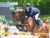 Springpferd Querido 75 (Holsteiner, 2016, von Quiran)