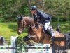 jumper Balisto S (German Sport Horse, 2014, from Balou du Rouet)