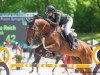 jumper Caspian Creek (Holsteiner, 2015, from Casall Ask)