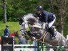 jumper Lord Lupus T (Oldenburg, 2014, from Lord Pezi Junior)