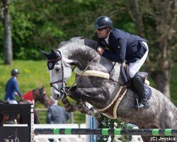 Springpferd Lord Lupus T (Oldenburger, 2014, von Lord Pezi Junior)