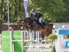 jumper Unico Tu (Holsteiner, 2020, from United Way)