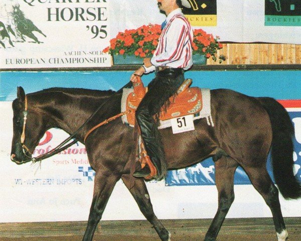horse Sonny Special Time (Quarter Horse, 1991, from Special Trick)