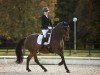 dressage horse Carlsson B 2 (German Riding Pony, 2008, from Charm of Nibelungen)