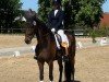 dressage horse Rock Forever's Sunshine (Westphalian, 2018, from Rock Forever NRW)