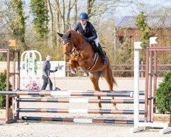 jumper Balira 3 (Holsteiner, 2021, from Balturo Fromecs)