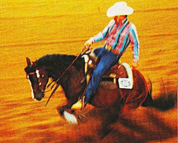 Pferd Mr Flachsberg (Quarter Horse, 1992, von Doc Chex)
