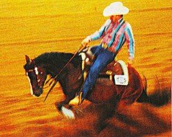 horse Mr Flachsberg (Quarter Horse, 1992, from Doc Chex)
