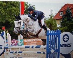 Springpferd Captain Morgan 37 (Oldenburger, 2012, von Clinton)
