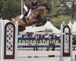 jumper Candyman Sbk Z (Zangersheide riding horse, 2012, from Candillo Z)