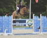 jumper Jackpot van de Kievitsdriesen (Belgian Warmblood, 2009, from Ohio van de Padenborre)