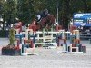 stallion Alaska Z (Zangersheide riding horse, 2015, from Asca Z)