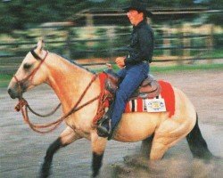 Deckhengst Topsail Flashy Jac (Quarter Horse, 1992, von Boggies Flashy Jac)