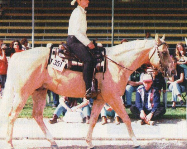 horse Silent TM Skip (Quarter Horse, 1993, from Silent Ark)