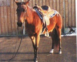 Pferd Kings Lady (Quarter Horse, 2000, von Overwelmer)