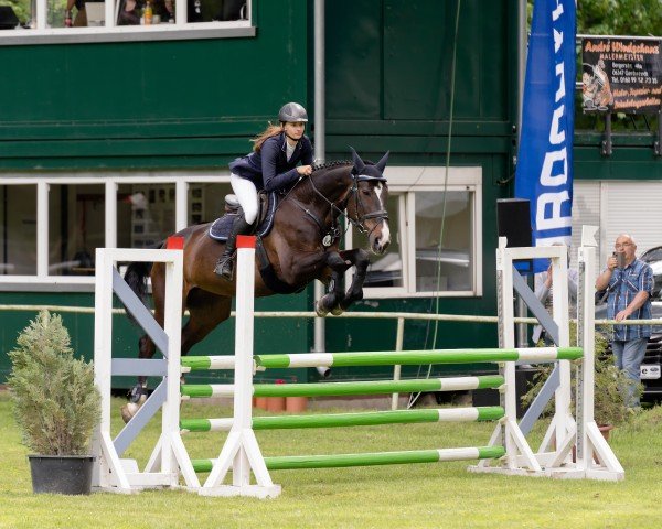 jumper Aisha 143 (German Sport Horse, 2005, from Pius)