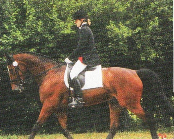 horse Cristallo 3 (Hanoverian, 1996, from Cordoba)
