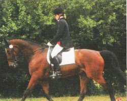 Pferd Cristallo 3 (Hannoveraner, 1996, von Cordoba)