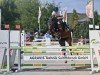jumper Stakkata B (Westphalian, 2016, from Stakkato Gold)