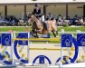 jumper Diams Brimbelles Z (Zangersheide riding horse, 2012, from Darco)