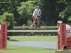 jumper Toto (Holsteiner, 2017, from Toulon)