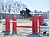 jumper Linde (KWPN (Royal Dutch Sporthorse), 2016, from VDL Cardento 933)