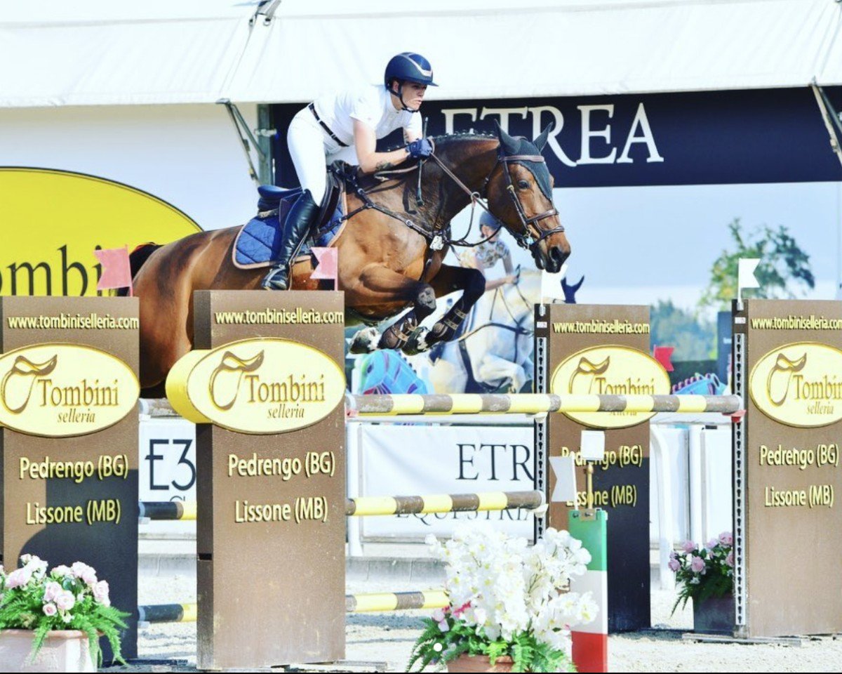 jumper Patchina van't Merelsnest (Belgian Warmblood, 2015, from Kannan)